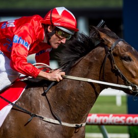 Price Was Right For Blueblood Mare