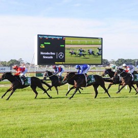 SEDANZER IMPRESSES AGAIN, OFF to GROUP 1