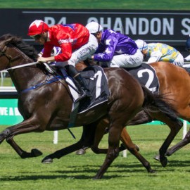 Group 1 Double For BlueBlood Thoroughbreds