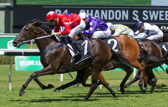 Group 1 Double For BlueBlood Thoroughbreds
