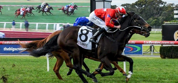 SHE’S SO HIGH ON TRACK FOR THOUSAND GUINEAS RACES