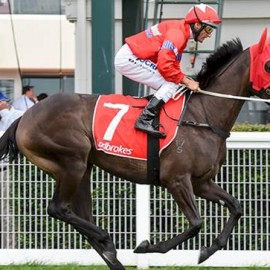 Mick Price and BlueBlood’s look to the Slipper with Seabrook