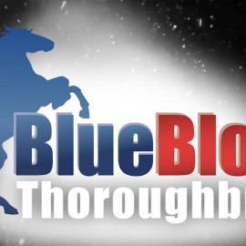BLUEBLOOD TWO WINNERS IN 24 HOURS IN NSW AND VIC
