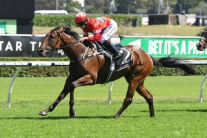 SYNDICATOR AND TRAINER ON TOP OF THEIR GAME
