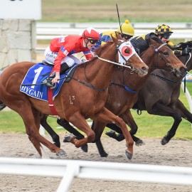 WELD MAKES IT 3 WINS FOR BLUEBLOOD CONNECTIONS