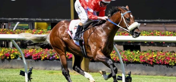 LIGHTSABER WINS THE GROUP 2 SIRES PRODUCE STAKES