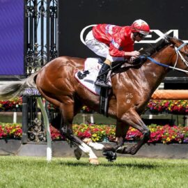 PATH STEPPING TO GUINEAS FOR LIGHTSABER