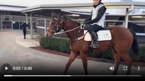 Screenshot 2025-08-06 105304 Screenshot 2025-08-06 105304