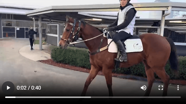 Screenshot 2025-08-06 105304 Screenshot 2025-08-06 105304